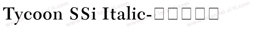 Tycoon SSi Italic字体转换
